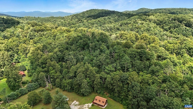 2070 Woodson Rd, Nelson, VA 22967 - aerial view of property's location with a heavily wooded area and a mountainous background