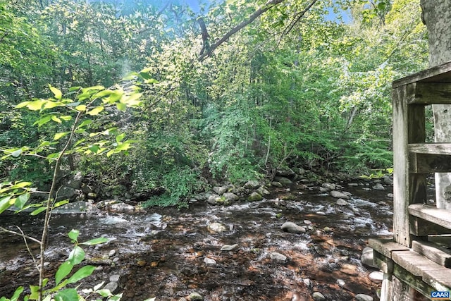 2070 Woodson Rd, Nelson, VA 22967 - view of nature