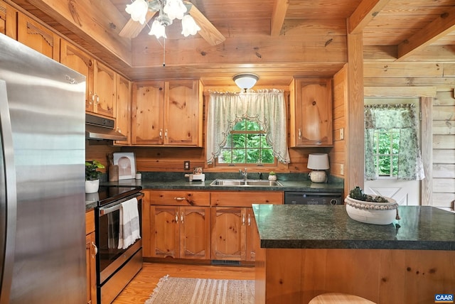 2070 Woodson Rd, Nelson, VA 22967 - kitchen featuring appliances with stainless steel finishes, under cabinet range hood, healthy amount of natural light, wood walls, and light wood-style flooring