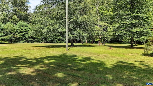 2070 Woodson Rd, Nelson, VA 22967 - view of green lawn