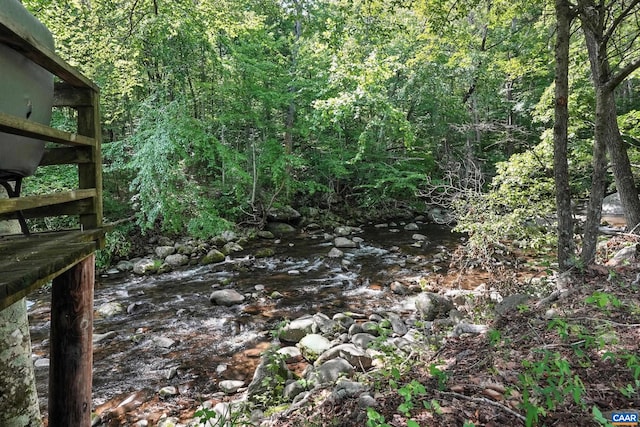 2070 Woodson Rd, Nelson, VA 22967 - view of wooded area