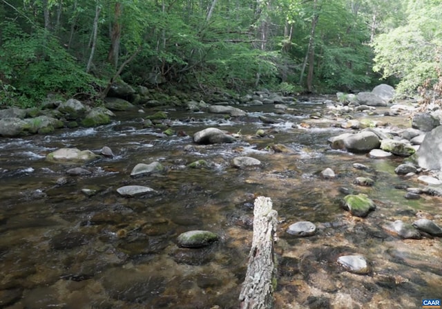 2070 Woodson Rd, Nelson, VA 22967 - view of tree filled area