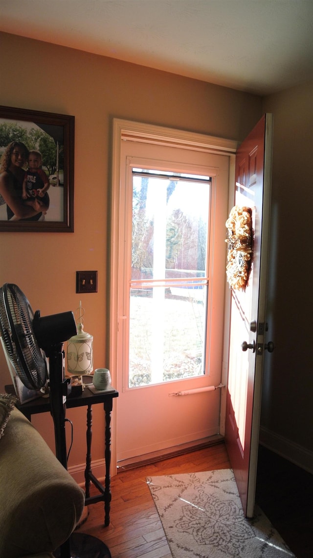 doorway with wood finished floors