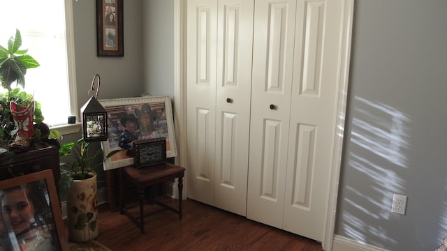 interior space featuring dark wood-type flooring