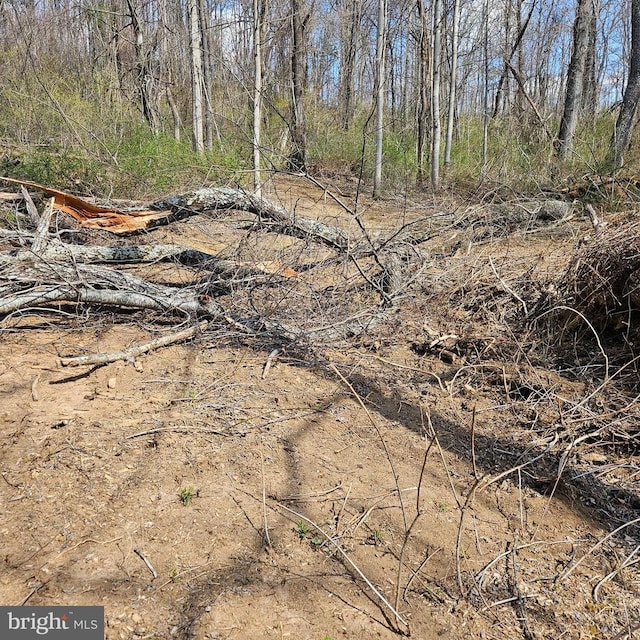 0 Moon Rd, Sperryville, VA 22740 - photo 2