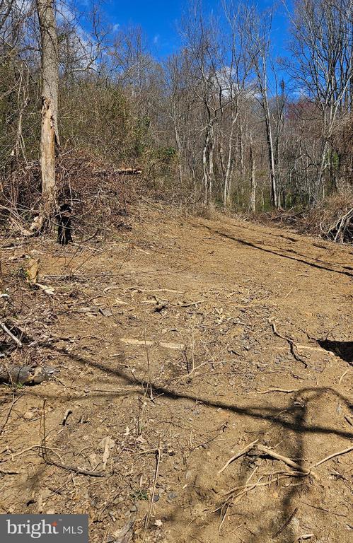 0 Moon Rd, Sperryville, VA 22740 - photo 1
