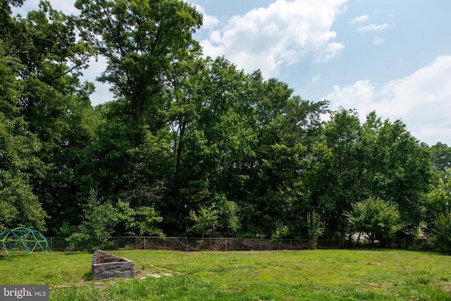 12203 Abner Ct, Fredericksburg, VA 22407 - view of yard