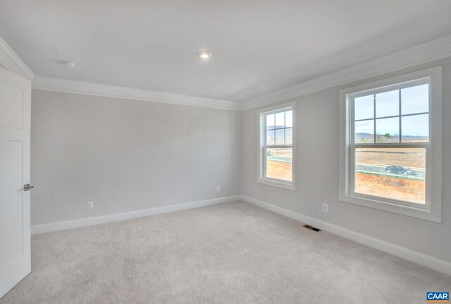 750 Park Ridge Dr, Crozet, VA 22932 - photo 24