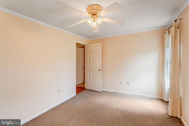  - empty room with carpet flooring, ceiling fan, and ornamental molding