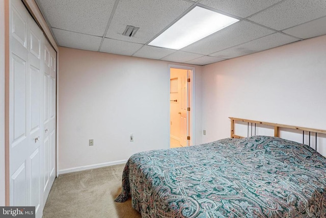 - bedroom with carpet floors, a drop ceiling, and a closet