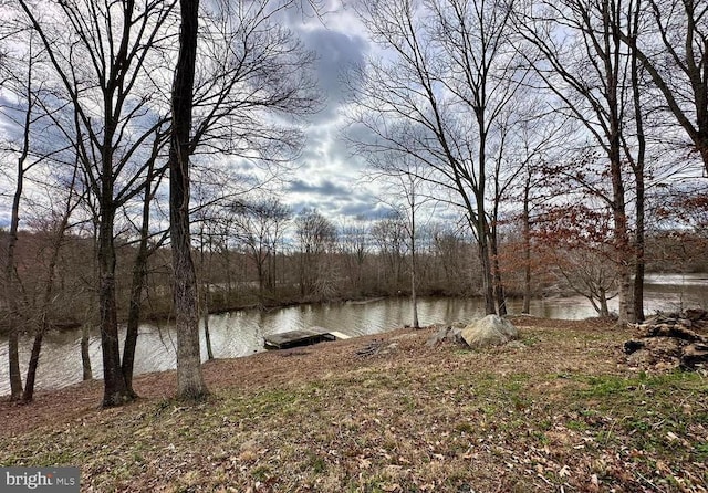 20322 Bennetts Way, Orange, VA 22960 - photo 45