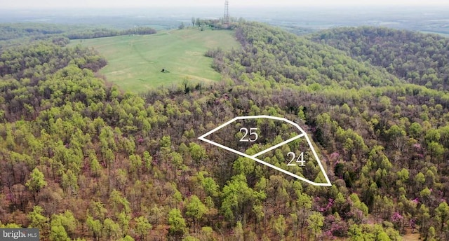Hawthorne Dr, Rapidan, VA 22733