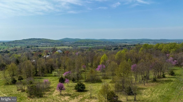 Hawthorne Dr, Rapidan, VA 22733