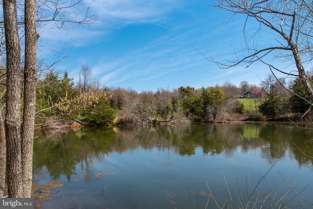 Hawthorne Dr, Rapidan, VA 22733