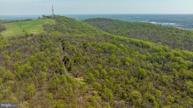 Hawthorne Dr, Rapidan, VA 22733