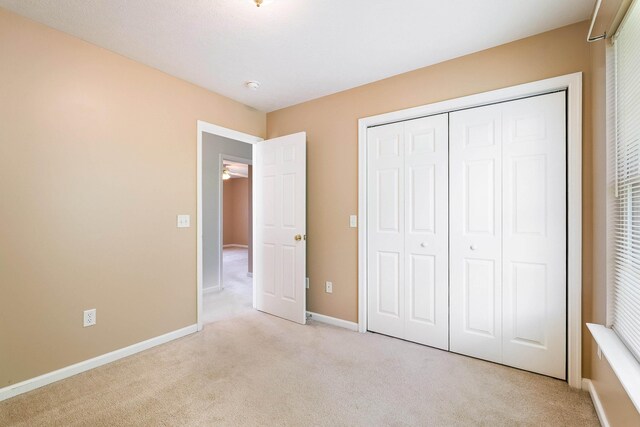 533 Pointe Dr, Harrisonburg, VA 22801 - photo 26