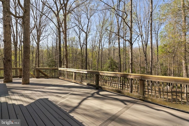 12905 Spotswood Furnace Rd, Fredericksburg, VA 22407 - photo 69