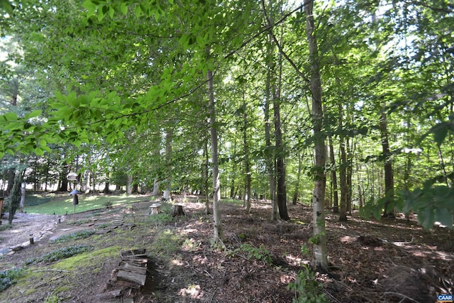 2090 Tavernor Ln, Charlottesville, VA 22911 - view of local wilderness