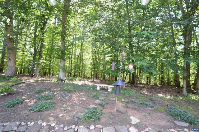 2090 Tavernor Ln, Charlottesville, VA 22911 - view of yard