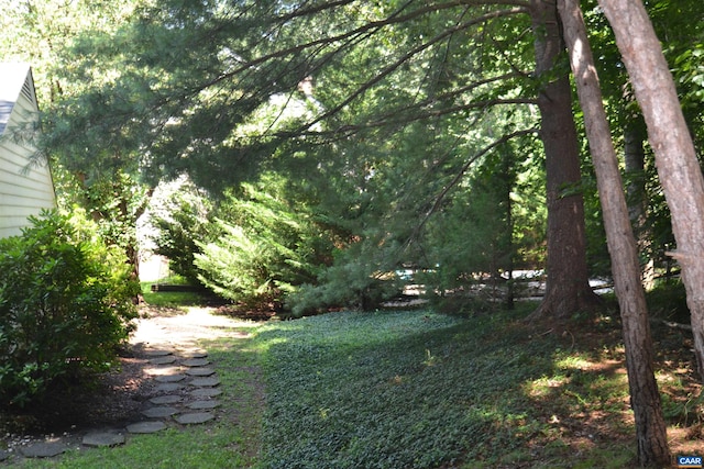 2090 Tavernor Ln, Charlottesville, VA 22911 - view of yard