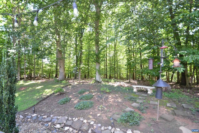 2090 Tavernor Ln, Charlottesville, VA 22911 - view of yard