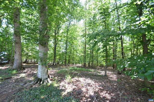 2090 Tavernor Ln, Charlottesville, VA 22911 - view of wooded area