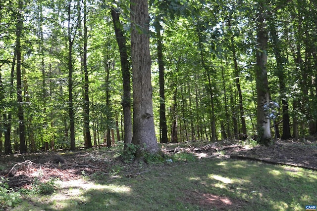2090 Tavernor Ln, Charlottesville, VA 22911 - view of tree filled area