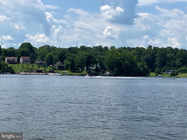 Lakeshore Dr, Louisa, VA 23093 - photo 14