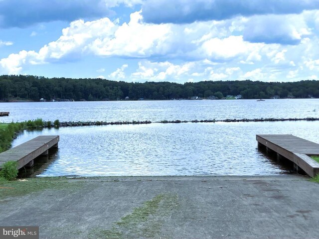 Lakeshore Dr, Louisa, VA 23093 - photo 19