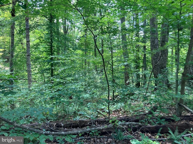Lakeshore Dr, Louisa, VA 23093 - photo 2