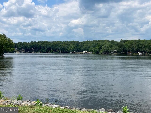Lakeshore Dr, Louisa, VA 23093 - photo 26