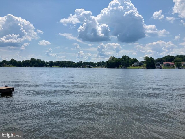 Lakeshore Dr, Louisa, VA 23093 - photo 12