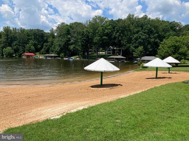 Lakeshore Dr, Louisa, VA 23093 - photo 4