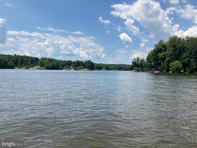 Lakeshore Dr, Louisa, VA 23093 - photo 15
