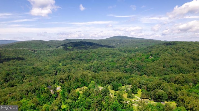  - view of mountain backdrop with a forest