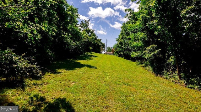  - view of grassy yard