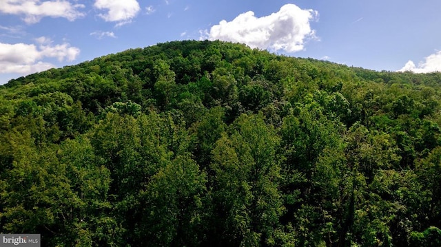  - view of mountain background featuring a heavily wooded area