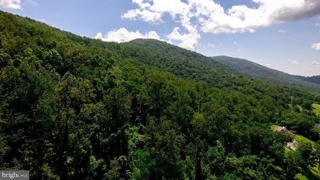  - view of mountain backdrop with a forest