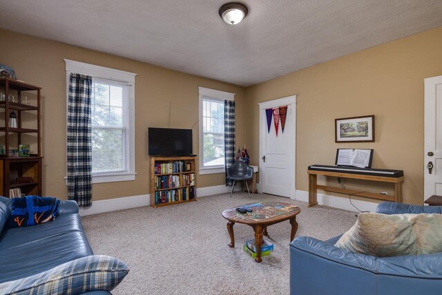 289 Newman Ave, Harrisonburg, VA 22801 - living area featuring carpet and baseboards