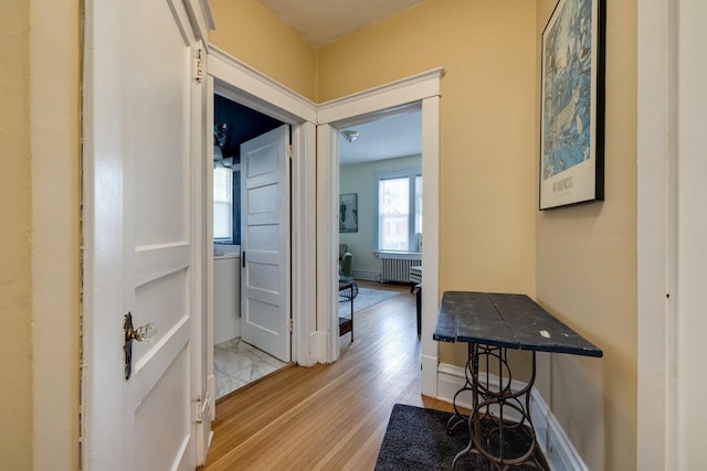 289 Newman Ave, Harrisonburg, VA 22801 - hallway featuring light wood-style floors, radiator, and baseboards