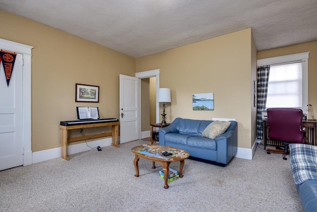 289 Newman Ave, Harrisonburg, VA 22801 - living area with carpet floors, baseboards, and a textured ceiling