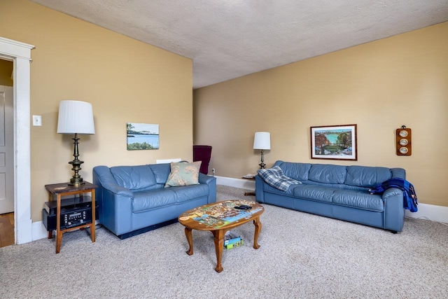 289 Newman Ave, Harrisonburg, VA 22801 - living area with carpet, baseboards, and a textured ceiling