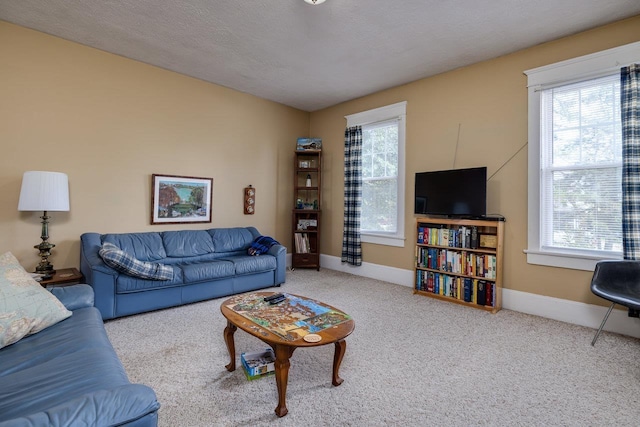 289 Newman Ave, Harrisonburg, VA 22801 - living area featuring baseboards and carpet flooring