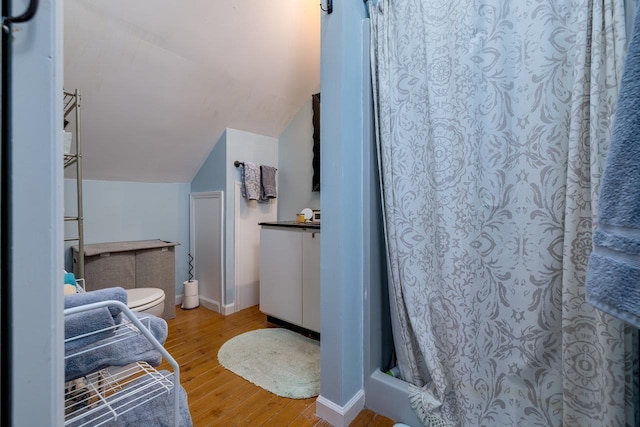 289 Newman Ave, Harrisonburg, VA 22801 - bathroom featuring wood finished floors, a shower stall, vaulted ceiling, toilet, and vanity