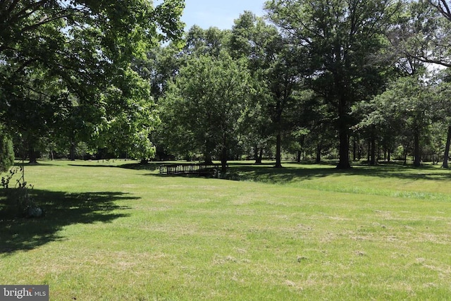  - view of green lawn