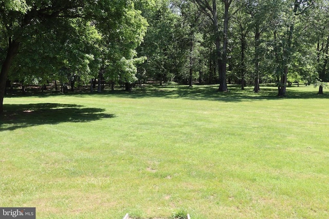  - view of green lawn