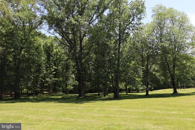  - view of grassy yard
