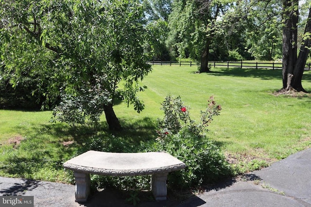  - view of yard