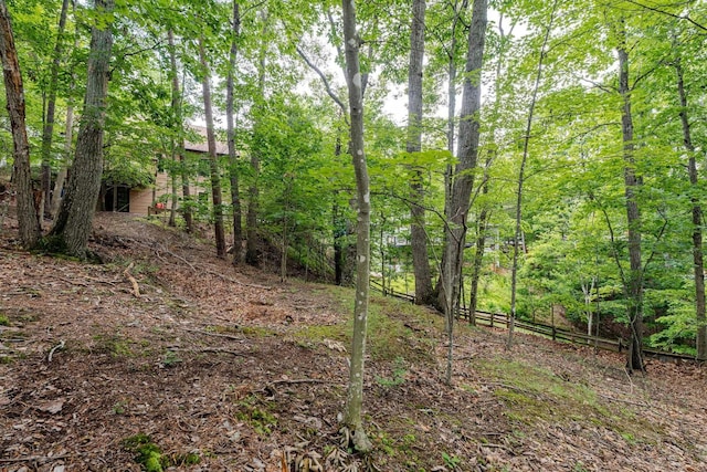 2973 Lanier Ln, Mcgaheysville, VA 22840 - photo 47