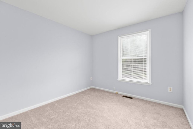 10807 Bent Tree Dr, Fredericksburg, VA 22407 - photo 19